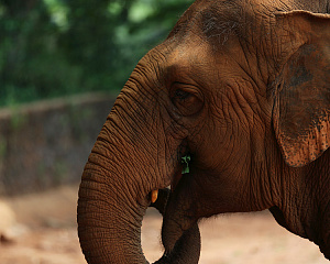 Hainan Tropical Wildlife Park and Botanical Garden