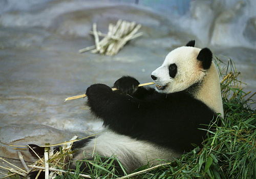 Hainan Tropical Wildlife Park and Botanical Garden