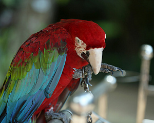 Hainan Tropical Wildlife Park and Botanical Garden
