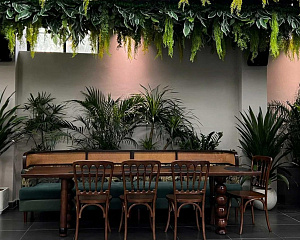 Green Garden 
